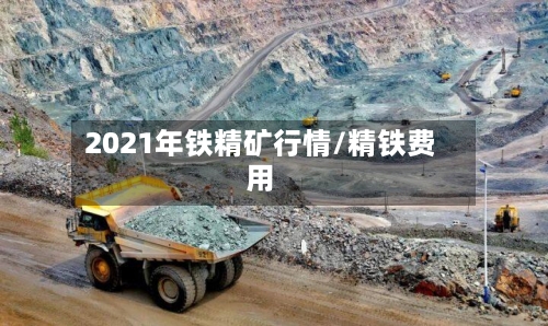 2021年铁精矿行情/精铁费用