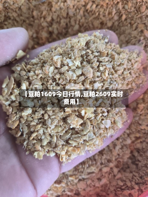 【豆粕1609今日行情,豆粕2609实时费用】