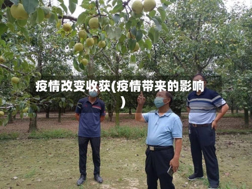 疫情改变收获(疫情带来的影响)
