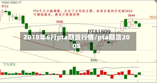 2018年6月pta期货行情/pta期货2005