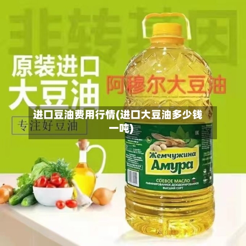 进口豆油费用行情(进口大豆油多少钱一吨)