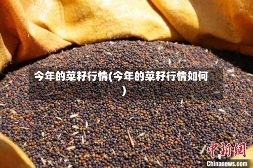 今年的菜籽行情(今年的菜籽行情如何)