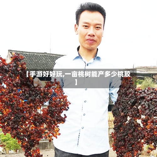【手游好好玩,一亩桃树能产多少桃胶】