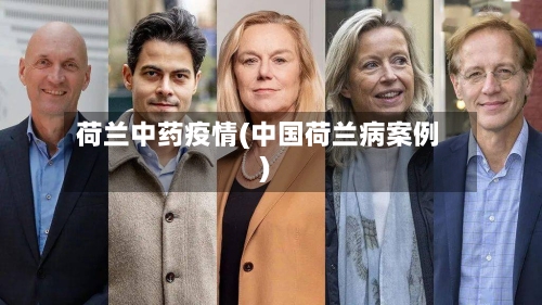 荷兰中药疫情(中国荷兰病案例)-第2张图片