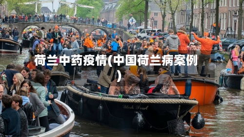 荷兰中药疫情(中国荷兰病案例)