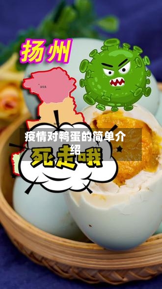 疫情对鸭蛋的简单介绍
