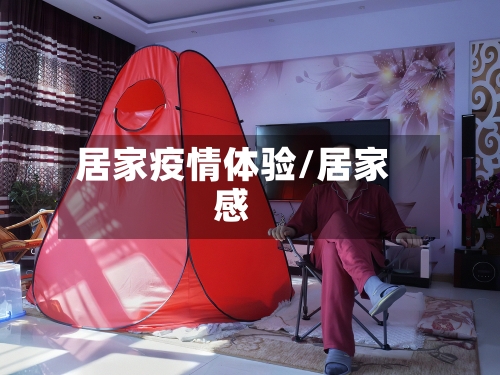居家疫情体验/居家感-第2张图片