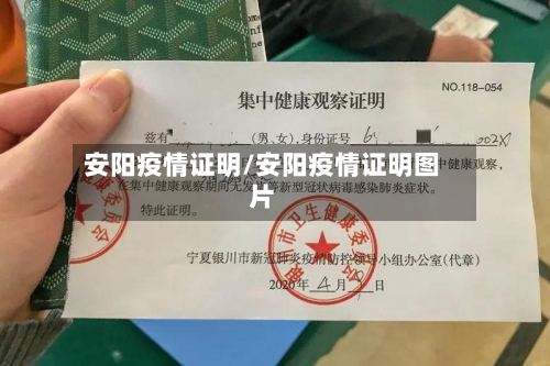 安阳疫情证明/安阳疫情证明图片