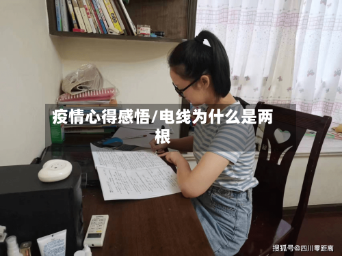 疫情心得感悟/电线为什么是两根-第3张图片