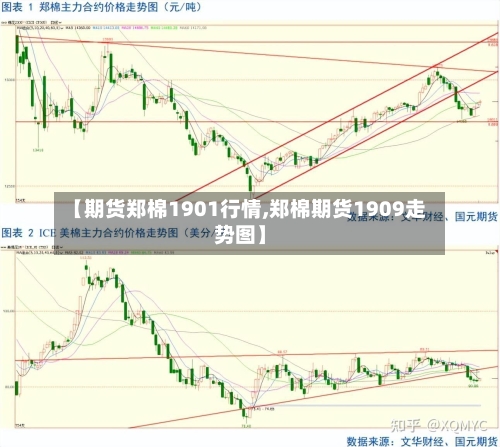 【期货郑棉1901行情,郑棉期货1909走势图】-第2张图片