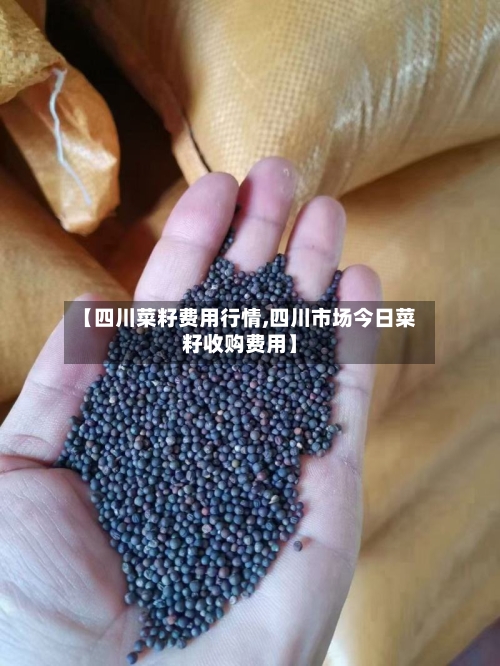 【四川菜籽费用行情,四川市场今日菜籽收购费用】-第2张图片