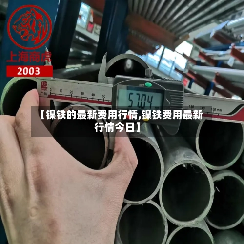 【镍铁的最新费用行情,镍铁费用最新行情今日】-第2张图片