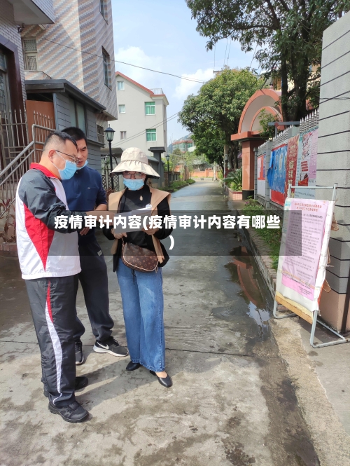 疫情审计内容(疫情审计内容有哪些)