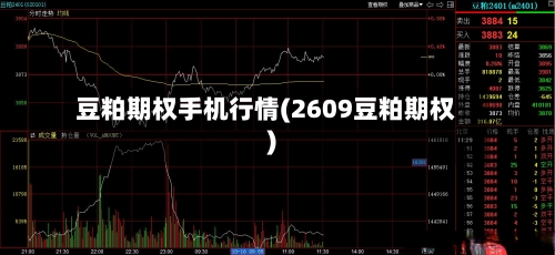 豆粕期权手机行情(2609豆粕期权)-第3张图片