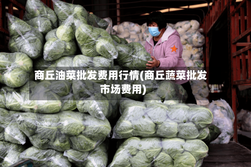 商丘油菜批发费用行情(商丘蔬菜批发市场费用)-第2张图片