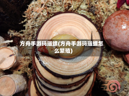 方舟手游玛瑙螺(方舟手游玛瑙螺怎么繁殖)-第2张图片