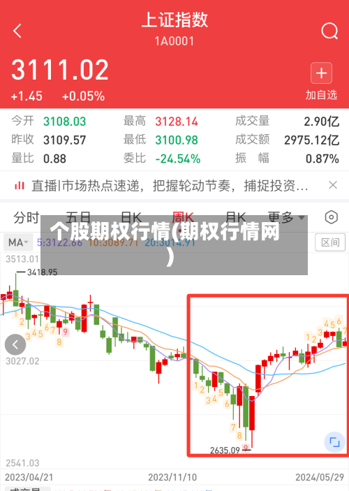 个股期权行情(期权行情网)-第2张图片