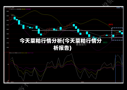 今天菜粕行情分析(今天菜粕行情分析报告)
