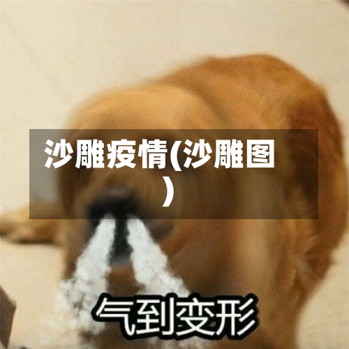 沙雕疫情(沙雕图)