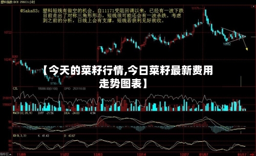 【今天的菜籽行情,今日菜籽最新费用走势图表】-第3张图片