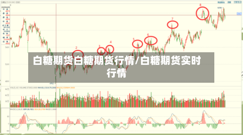 白糖期货白糖期货行情/白糖期货实时行情-第3张图片