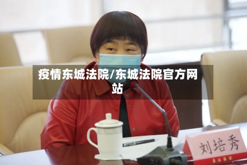 疫情东城法院/东城法院官方网站