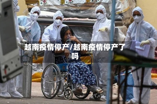 越南疫情停产/越南疫情停产了吗