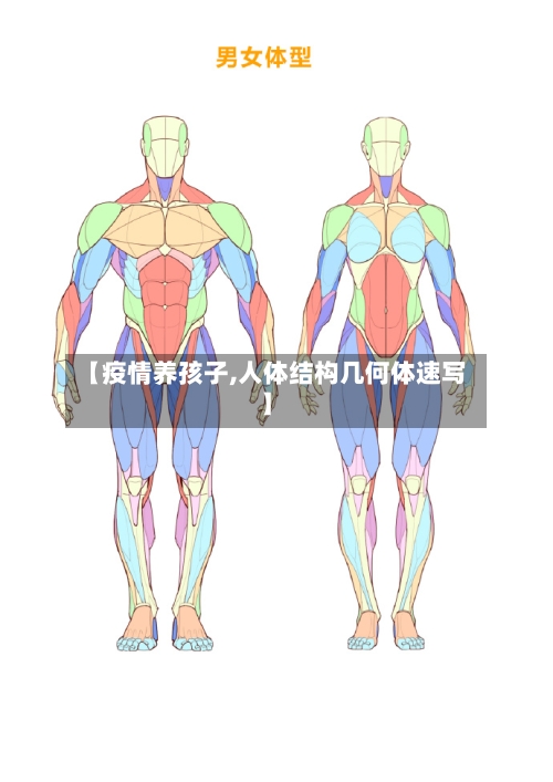 【疫情养孩子,人体结构几何体速写】-第2张图片