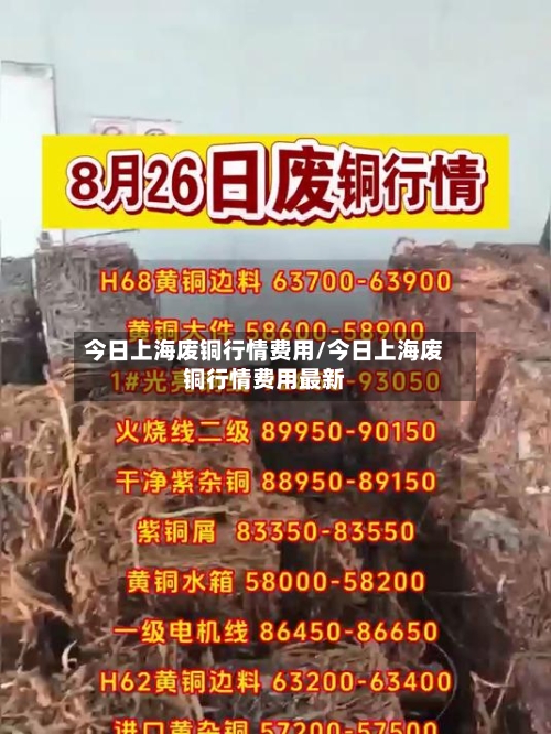 今日上海废铜行情费用/今日上海废铜行情费用最新-第3张图片