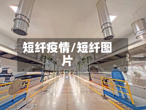 短纤疫情/短纤图片
