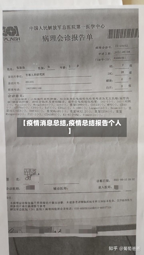 【疫情消息总结,疫情总结报告个人】