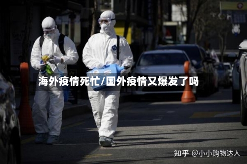 海外疫情死忙/国外疫情又爆发了吗-第2张图片