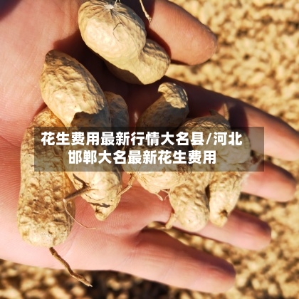 花生费用最新行情大名县/河北邯郸大名最新花生费用-第3张图片