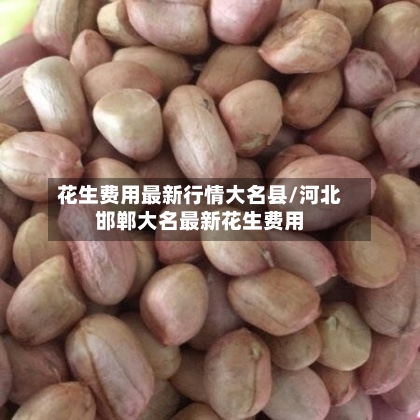 花生费用最新行情大名县/河北邯郸大名最新花生费用-第2张图片