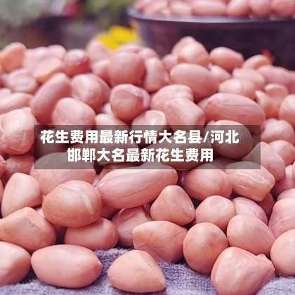 花生费用最新行情大名县/河北邯郸大名最新花生费用