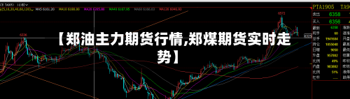 【郑油主力期货行情,郑煤期货实时走势】-第2张图片