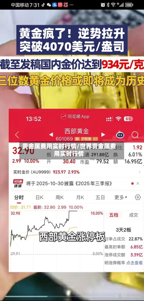 贵金属费用实时行情/世界贵金属费用实时行情