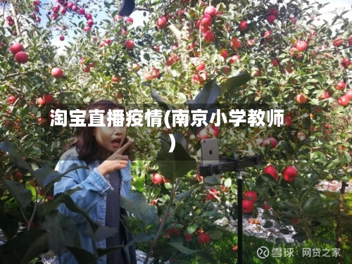 淘宝直播疫情(南京小学教师)-第2张图片