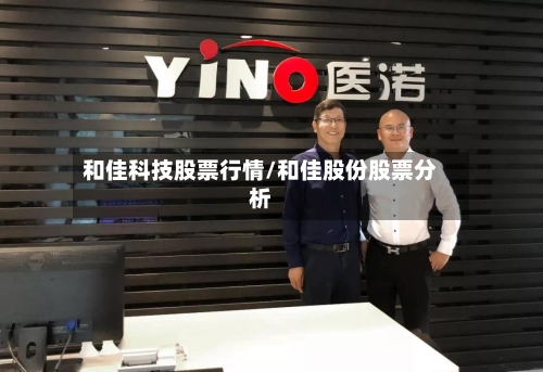 和佳科技股票行情/和佳股份股票分析