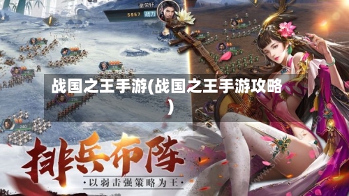 战国之王手游(战国之王手游攻略)