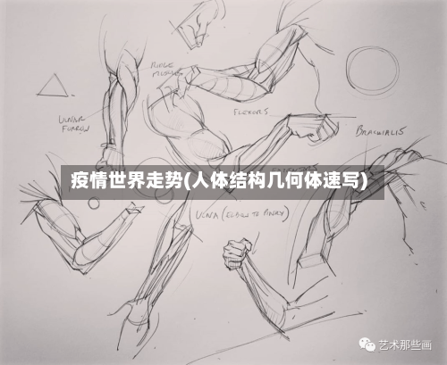 疫情世界走势(人体结构几何体速写)