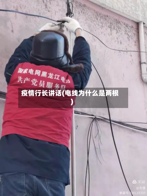 疫情行长讲话(电线为什么是两根)-第3张图片