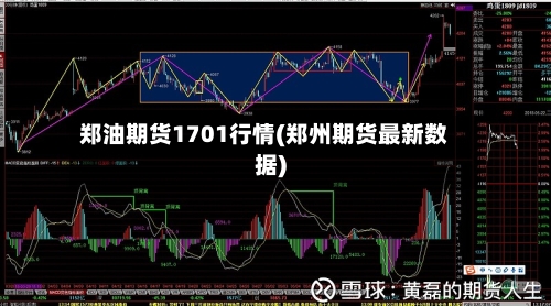 郑油期货1701行情(郑州期货最新数据)
