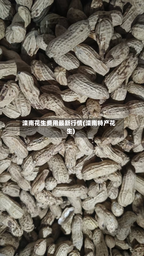 滦南花生费用最新行情(滦南特产花生)-第3张图片