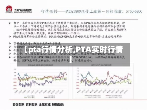 【pta行情分析,PTA实时行情】-第3张图片