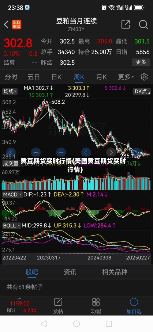 黄豆期货实时行情(美国黄豆期货实时行情)