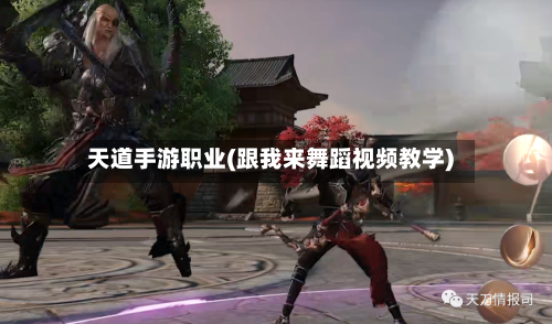 天道手游职业(跟我来舞蹈视频教学)