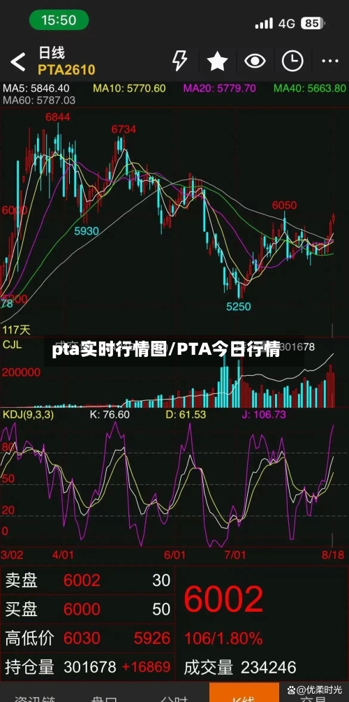 pta实时行情图/PTA今日行情