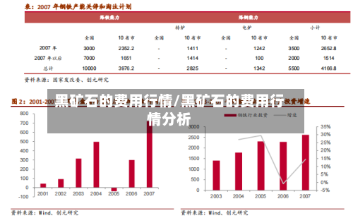 黑矿石的费用行情/黑矿石的费用行情分析-第2张图片