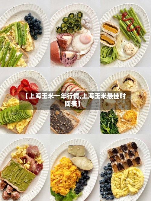 【上海玉米一年行情,上海玉米最佳时间表】-第2张图片